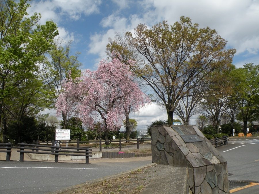 芦山公園